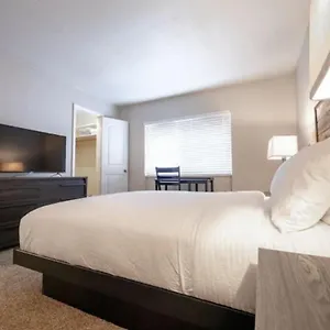 Westshore South Apt Tampa
