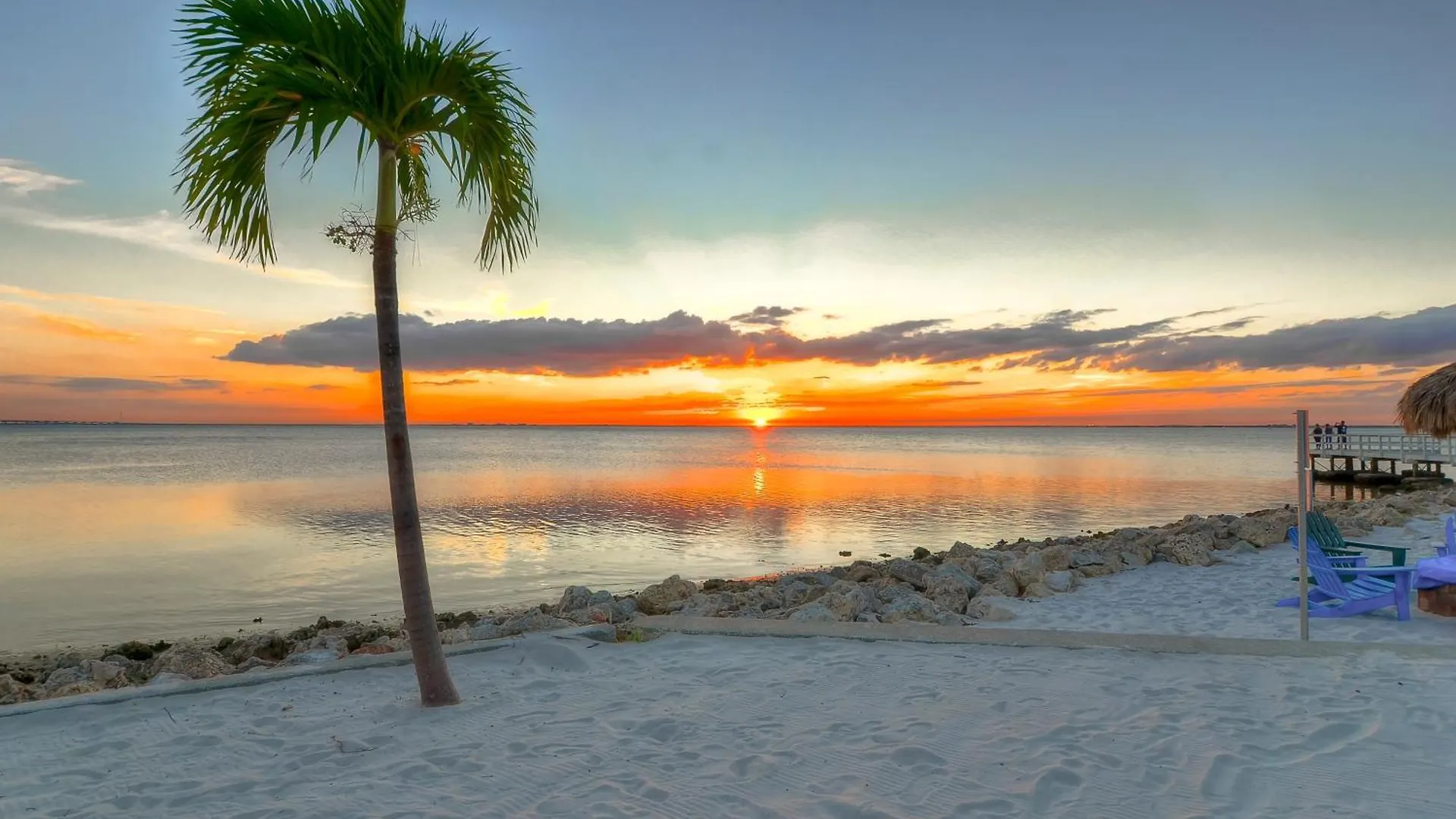 227-Wifi, New Paint, Amazing Views, Close To Bucs Stadium Tampa