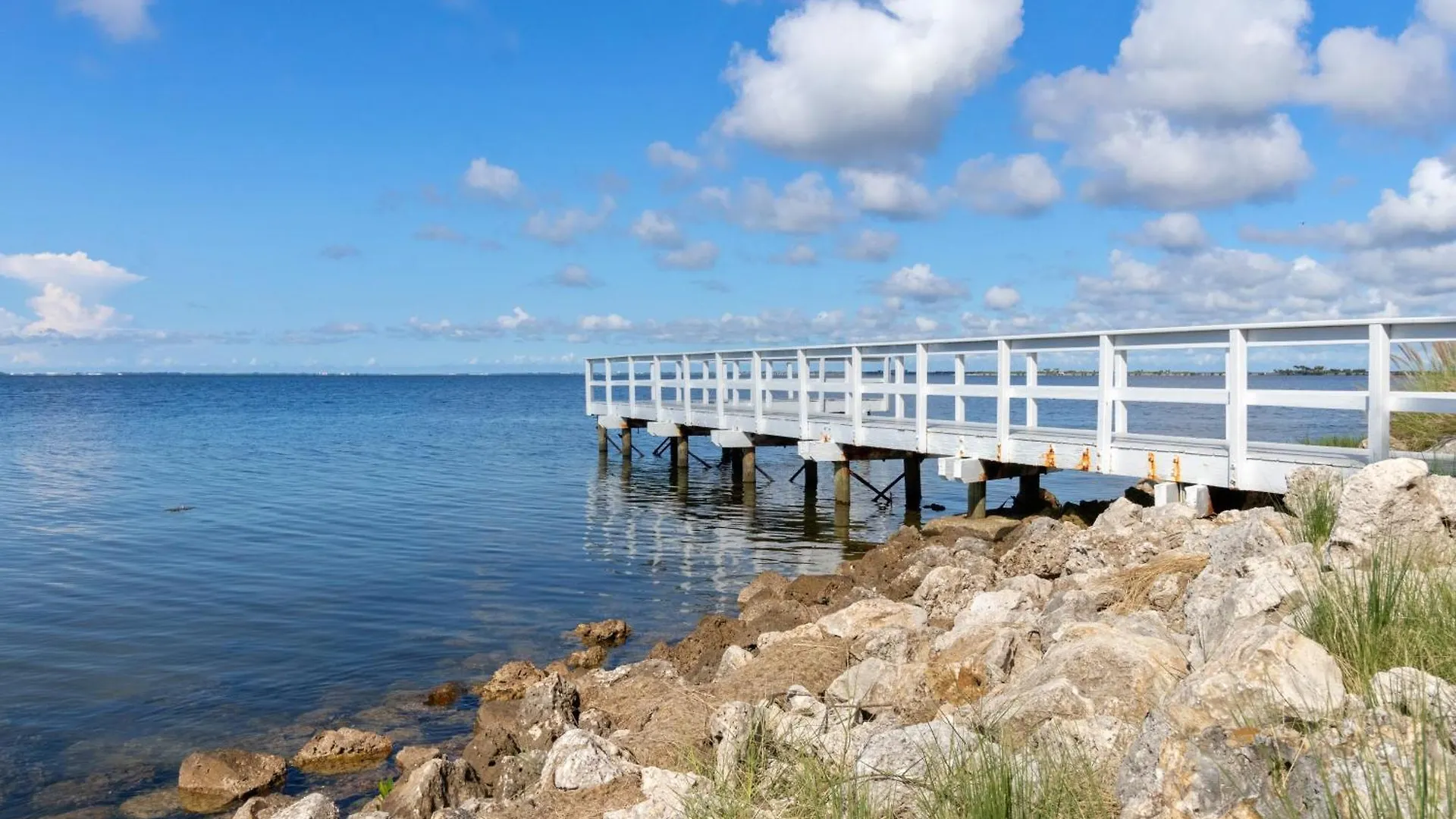 Apartment 227-Wifi, New Paint, Amazing Views, Close To Bucs Stadium Tampa